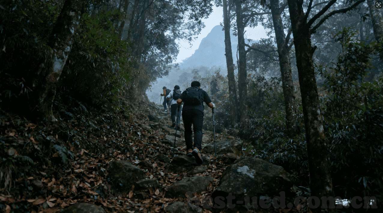 今天世界杯比赛赔率-今天世界杯比赛赔率,一场数字背后的博弈